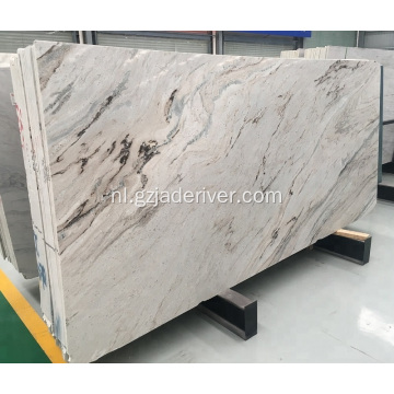 Palissandro Durable Marble Slab voor bouwen